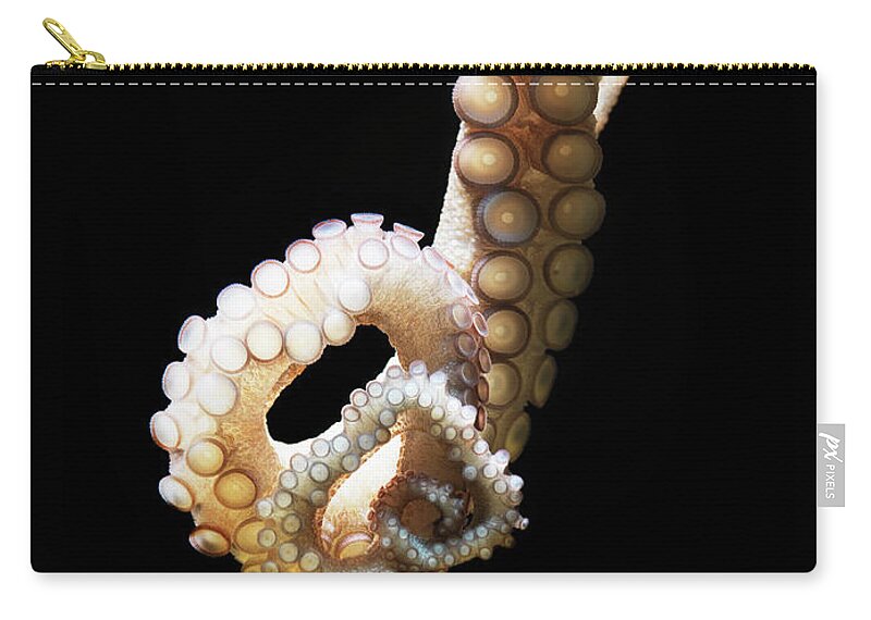 Copenhagen Zip Pouch featuring the photograph Common Octopus, Octopus Vulgaris #1 by Henrik Sorensen