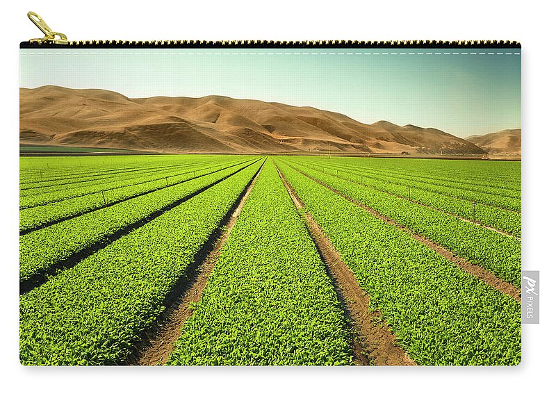 Environmental Conservation Zip Pouch featuring the photograph Crops Grow On Fertile Farm Land #1 by Pgiam