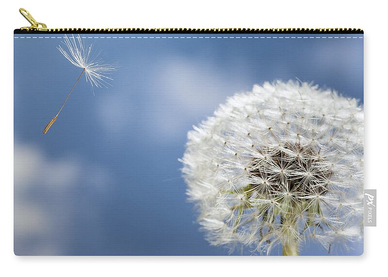 534795 Zip Pouch featuring the photograph Dandelion Seed Being On The Wind Oregon #1 by Michael Durham