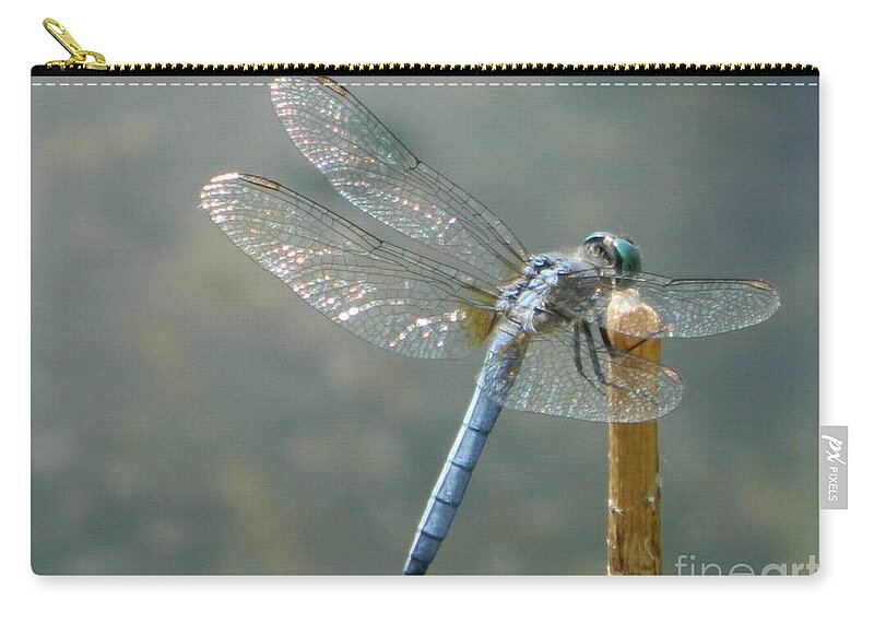 Blue Zip Pouch featuring the photograph Dragonfly on Stick #1 by Gallery Of Hope 