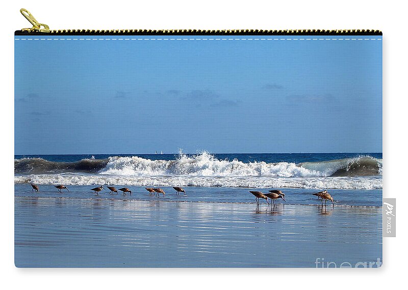 Beach Zip Pouch featuring the photograph Feeding Time by Kelly Holm