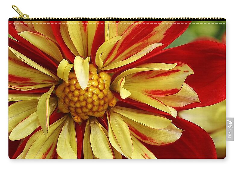Flora Zip Pouch featuring the photograph Fireworks #2 by Bruce Bley