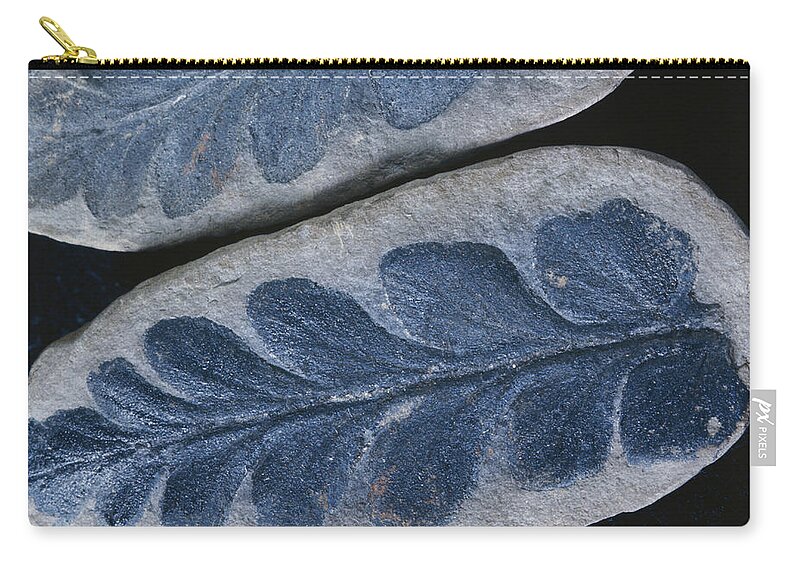 Extinct Plant Zip Pouch featuring the photograph Fossil Seed Fern #1 by Louise K. Broman