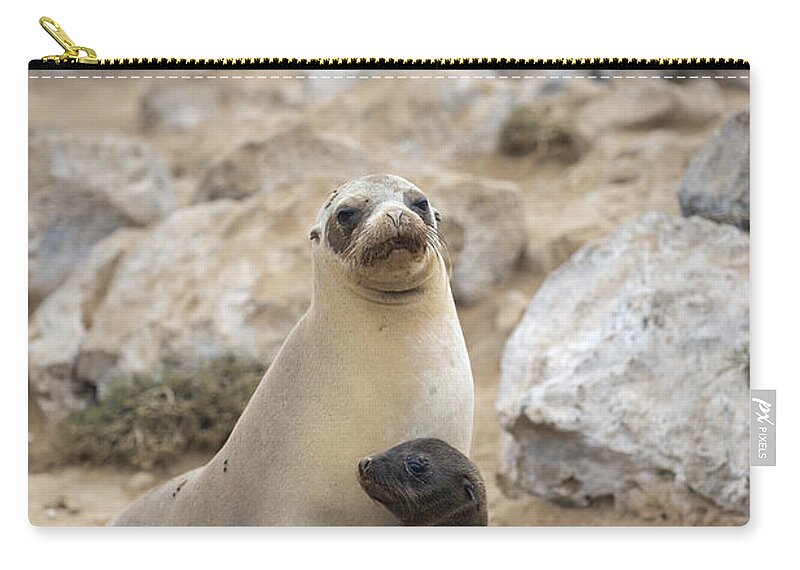 Tui De Roy Carry-all Pouch featuring the photograph Galapagos Sea Lion And Pup Champion by Tui De Roy