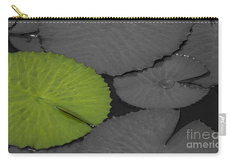 Water_lily Zip Pouch featuring the photograph Green Water Lily Leaf Splash Color by Heiko Koehrer-Wagner