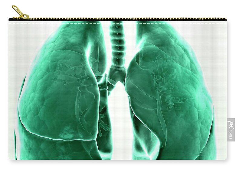 Human Lung Zip Pouch featuring the digital art Healthy Lungs, Artwork #1 by Andrzej Wojcicki