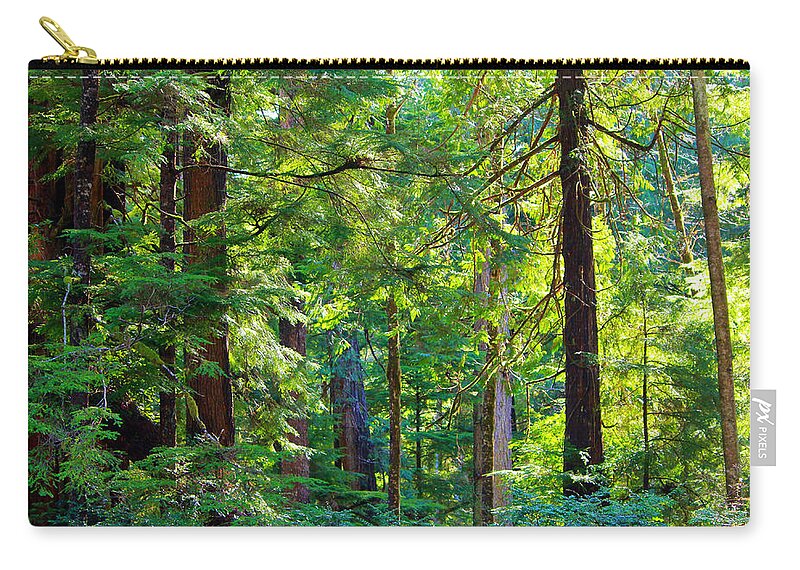 Hoh Zip Pouch featuring the photograph Hoh Rain Forest #1 by Jeanette C Landstrom