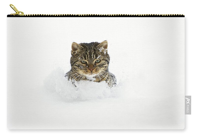 Feb0514 Zip Pouch featuring the photograph House Cat In Deep Snow Germany #2 by Konrad Wothe