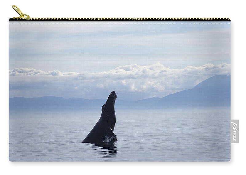 Feb0514 Zip Pouch featuring the photograph Humpback Whale Breaching Southeast #1 by Flip Nicklin