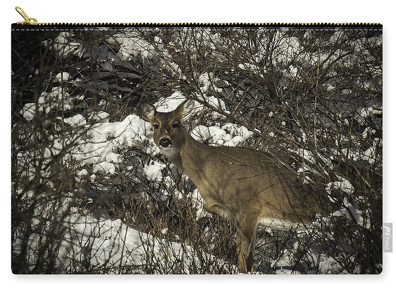 Whitetail Deer Carry-all Pouch featuring the photograph I See You by Thomas Young