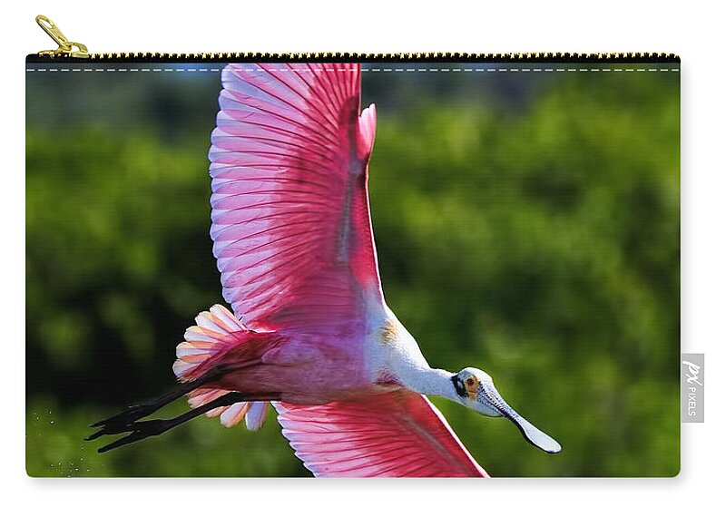 Dodsworth Zip Pouch featuring the photograph Into the morning light #1 by Bill Dodsworth