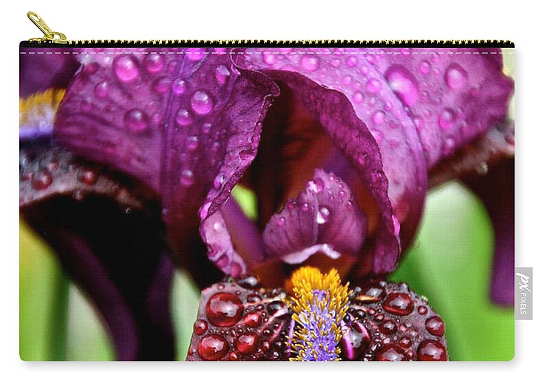 Flower Zip Pouch featuring the photograph Iris Tongue #1 by Susan Herber