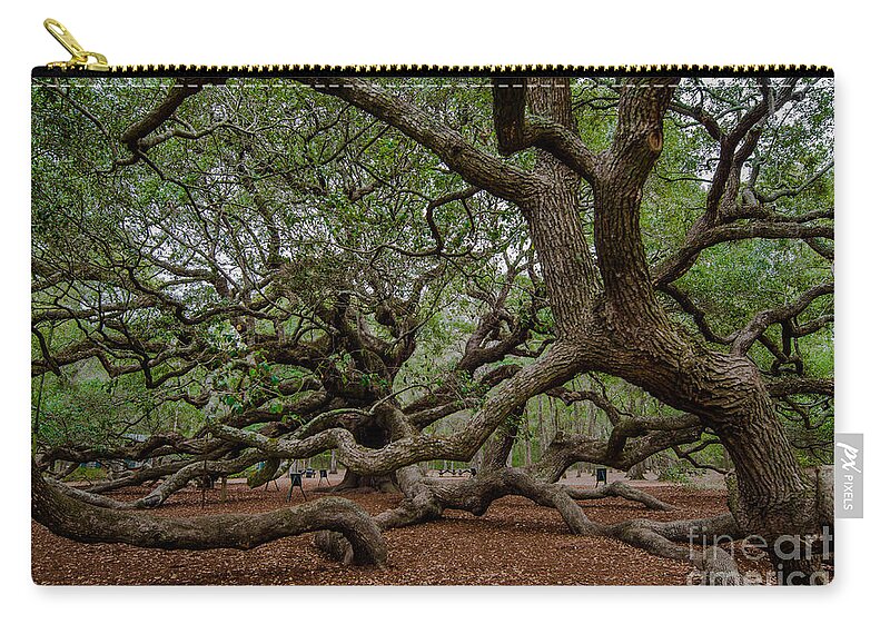 Angel Oak Tree Zip Pouch featuring the photograph Island Tree #2 by Dale Powell