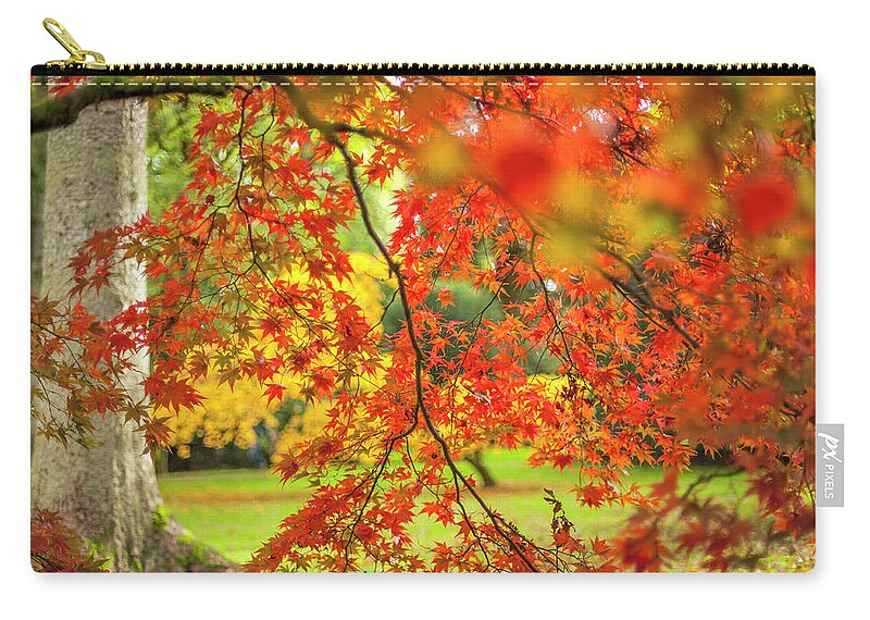 Westonbirt Zip Pouch featuring the photograph Japanese Maple Leaves #1 by Jacky Parker Photography