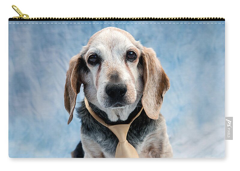 Beagle Zip Pouch featuring the photograph Kippy Beagle Senior by Iris Richardson