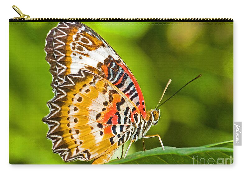 Animal Zip Pouch featuring the photograph Lacewing Butterfly #1 by Millard H Sharp