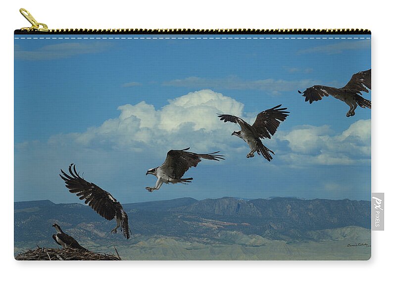 Birds Zip Pouch featuring the digital art Landing Pattern of the Osprey #1 by Ernest Echols