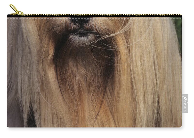 Animal Zip Pouch featuring the photograph Lhasa Apso #1 by Jeanne White