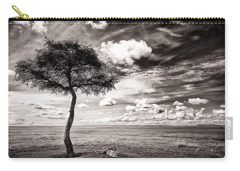 Africa Zip Pouch featuring the photograph Lions In The Shade - Selenium Toned #1 by Mike Gaudaur