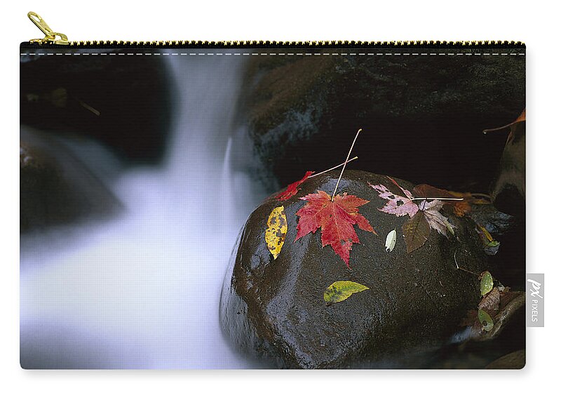 Feb0514 Zip Pouch featuring the photograph Little Pigeon River And Fall Maple #1 by Tim Fitzharris