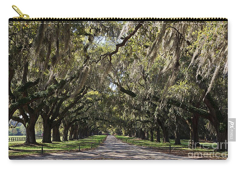 Southern Zip Pouch featuring the photograph Live Oaks #1 by Jill Lang