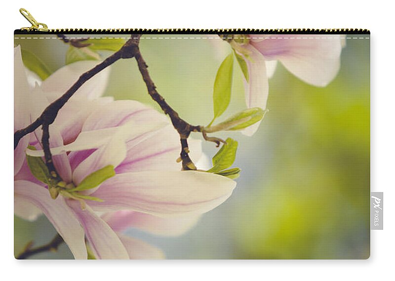 Magnolia Zip Pouch featuring the photograph Magnolia Flowers #1 by Nailia Schwarz