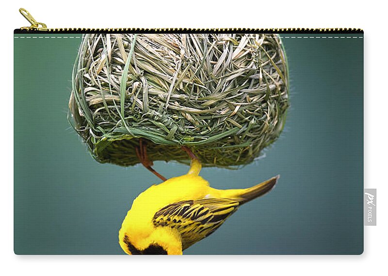 Africa Zip Pouch featuring the photograph Masked weaver at nest by Johan Swanepoel
