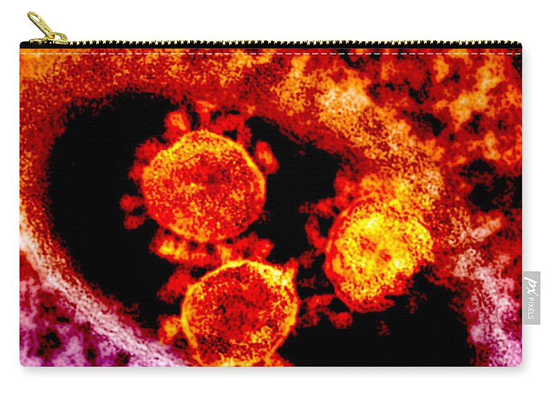 Science Zip Pouch featuring the photograph Mers-cov by Science Source