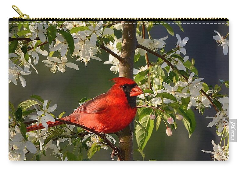 Nature Zip Pouch featuring the photograph Red Cardinal In Flowers by Nava Thompson