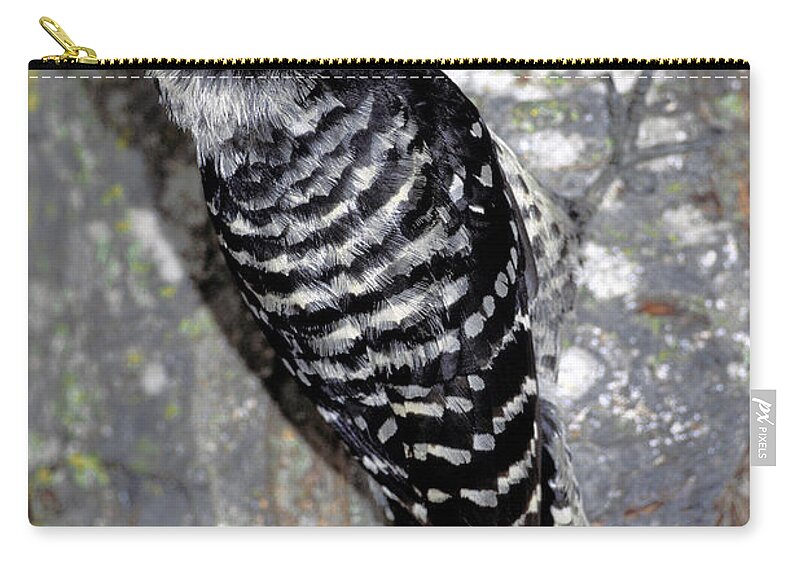 Animal Zip Pouch featuring the photograph Nuttalls Woodpecker #1 by Richard Hansen