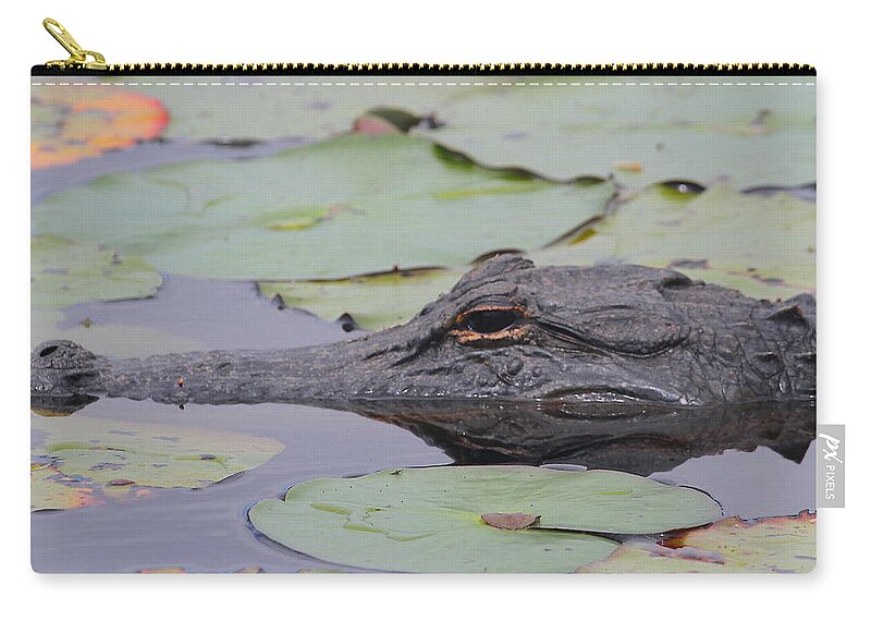 Gator Zip Pouch featuring the photograph Okefenokee Gator #1 by Cathy Lindsey