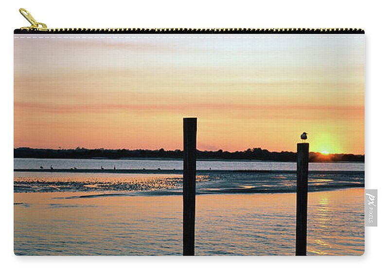 Photography Zip Pouch featuring the photograph Pelicans Perching On A Pilings, Daytona #1 by Animal Images