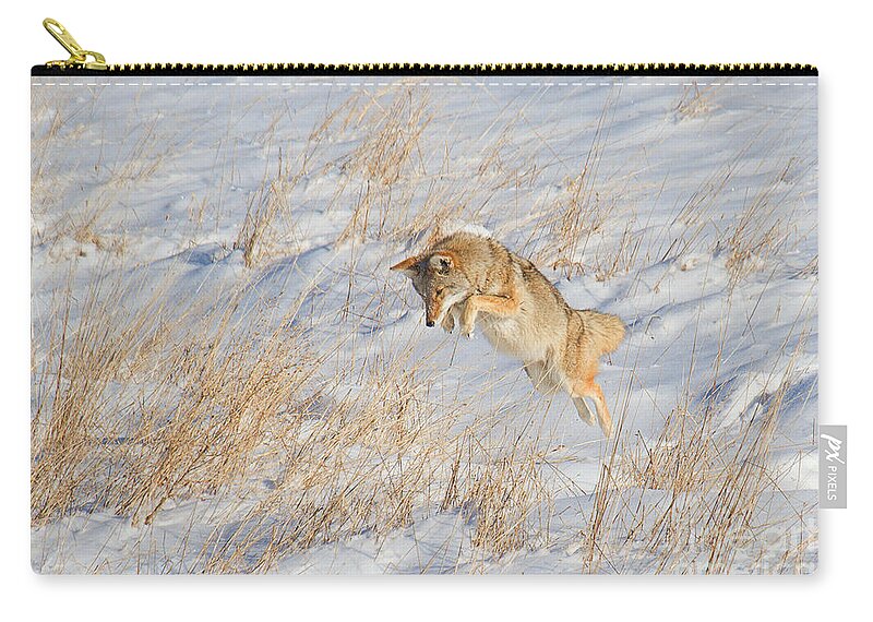 Coyote Zip Pouch featuring the photograph The High Jump by Jim Garrison