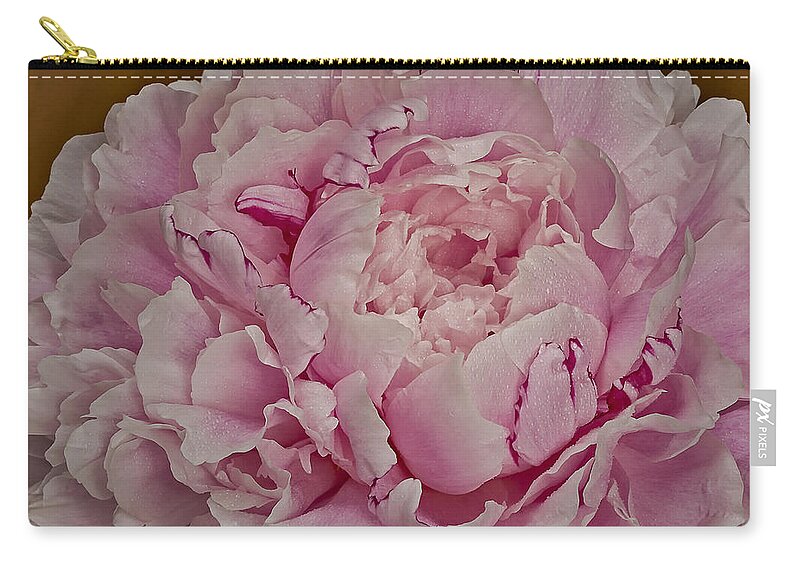Anniversary Zip Pouch featuring the photograph Pretty In Pink #1 by Susan Candelario