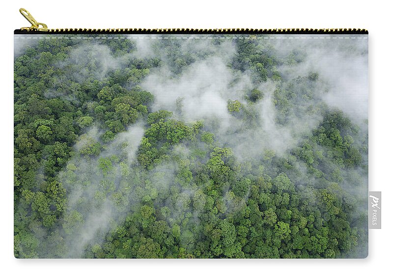Feb0514 Zip Pouch featuring the photograph Primary Rainforest Sabah Borneo #1 by Ch'ien Lee