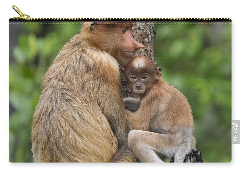 Suzi Eszterhas Zip Pouch featuring the photograph Proboscis Monkey Mother And Three Month #1 by Suzi Eszterhas