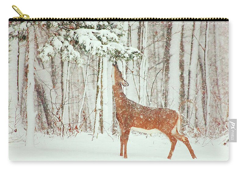 Deer.holidays Zip Pouch featuring the photograph Reach For It #2 by Karol Livote