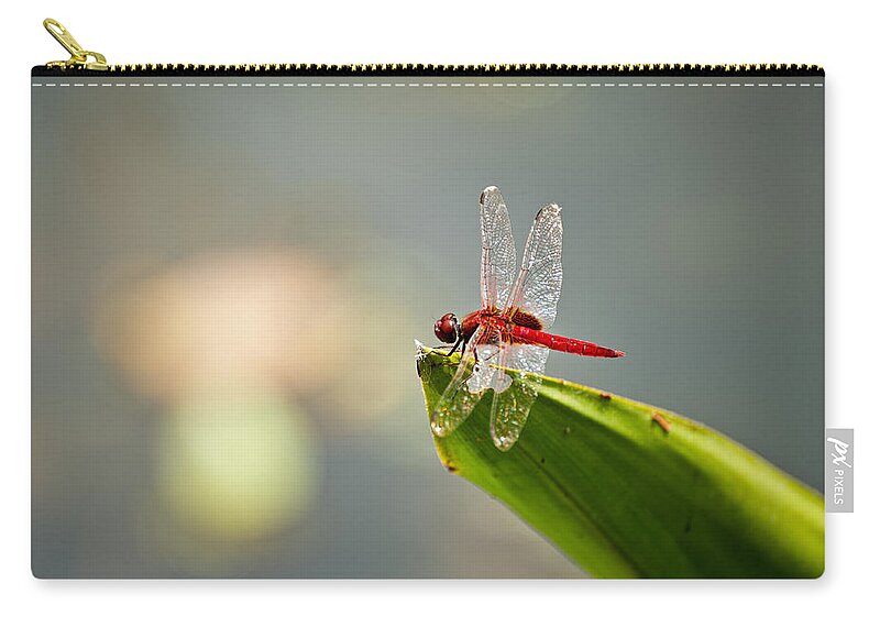 Lightweight Zip Pouch featuring the photograph Red dragonfly #1 by U Schade