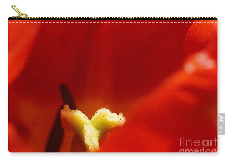 Nature Zip Pouch featuring the photograph Red Tulip Calyx 3 by Rudi Prott