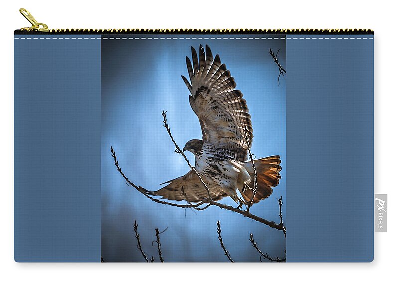 Redtail Hawk Zip Pouch featuring the photograph Redtail Hawk by Ernest Echols