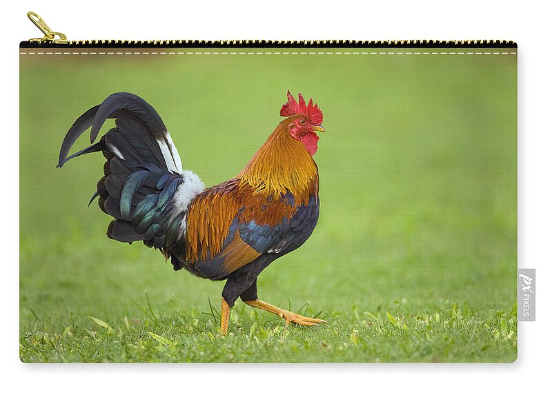 Feb0514 Zip Pouch featuring the photograph Rooster Kauai Hawaii #1 by Tom Vezo