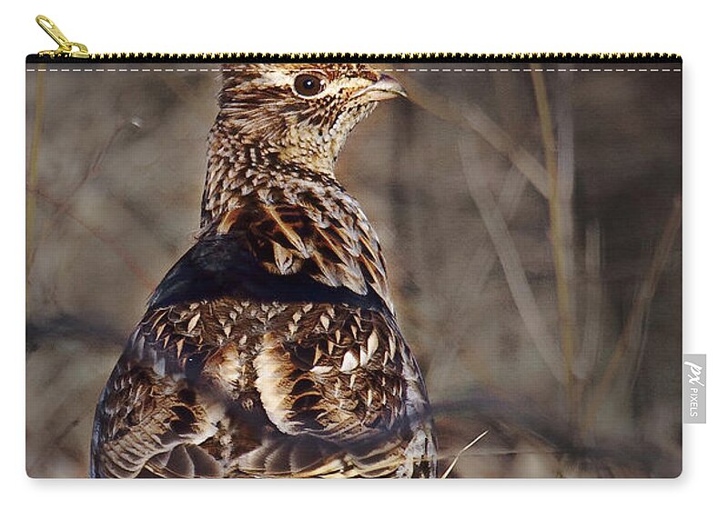 Bedford Zip Pouch featuring the photograph Ruffed Grouse #1 by Ronald Lutz