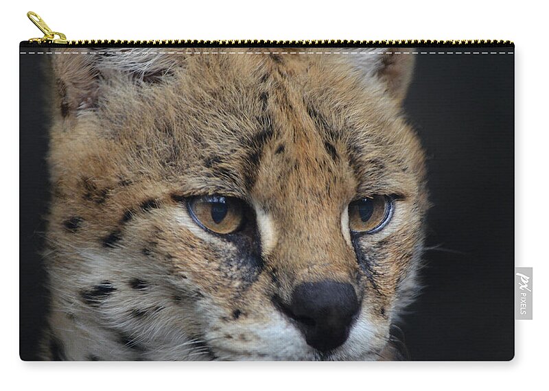 Serval Zip Pouch featuring the photograph Serval stare by Maggy Marsh