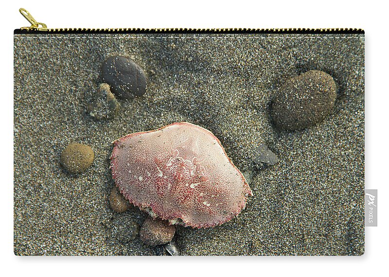Animal Themes Zip Pouch featuring the photograph Shellfish On Pacific Northwest Coast #1 by Justin Bailie