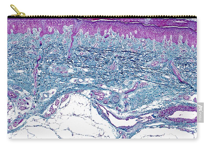 Skin Zip Pouch featuring the photograph Skin Lm by Alvin Telser