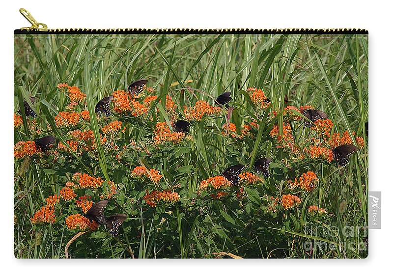 Arthropod Zip Pouch featuring the photograph Spicebush Swallowtail Butterflies #1 by Susan Leavines