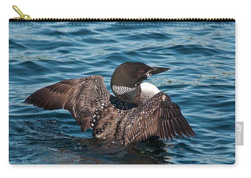 Brenda Zip Pouch featuring the photograph Spreading My Wings #1 by Brenda Jacobs