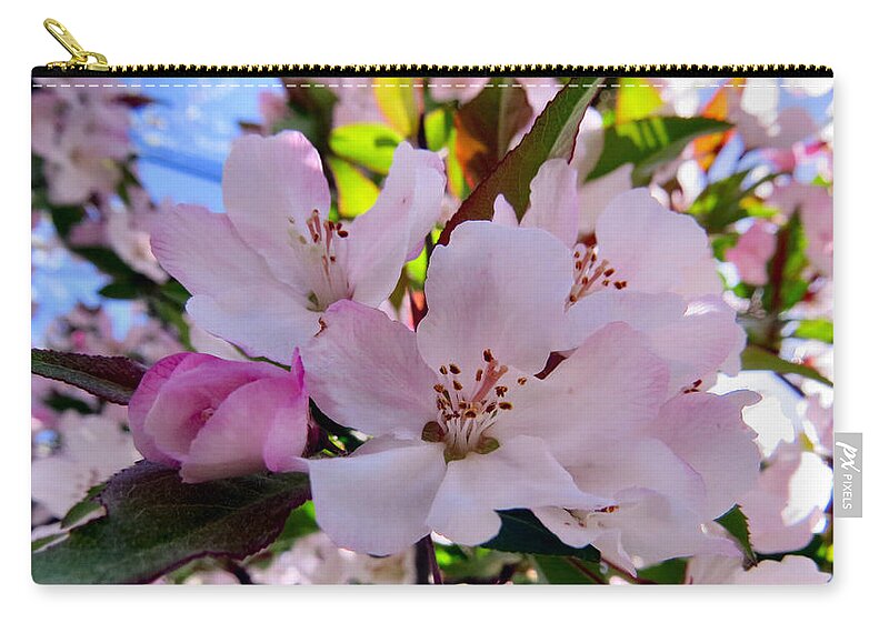 Sun Zip Pouch featuring the photograph Spring Form #1 by Art Dingo
