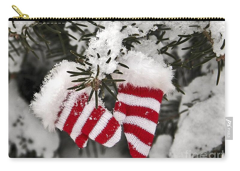 Maine Zip Pouch featuring the photograph Striped by Karin Pinkham