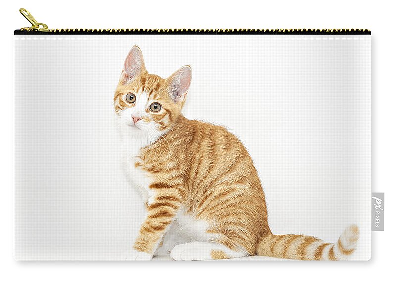 Kitten Zip Pouch featuring the photograph Stripy red kitten sitting down #1 by Sophie McAulay